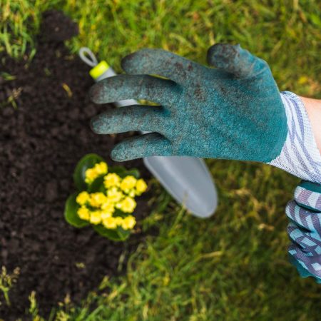 Cura de plantes i tasques de jardineria amb guants a Sant Cugat del Vallès