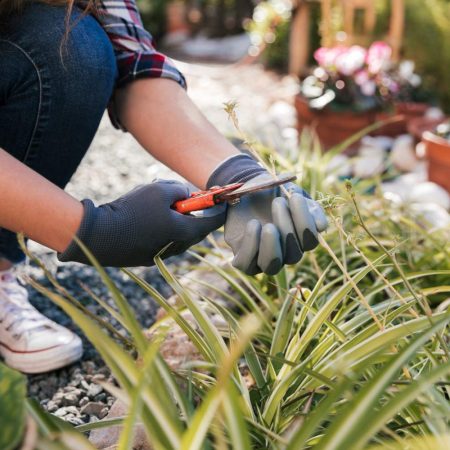 Serveis de jardineria al Baix Llobregat: treballs de manteniment en espais exteriors
